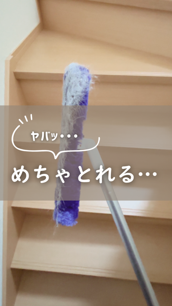 トレループで撮れた階段のホコリ